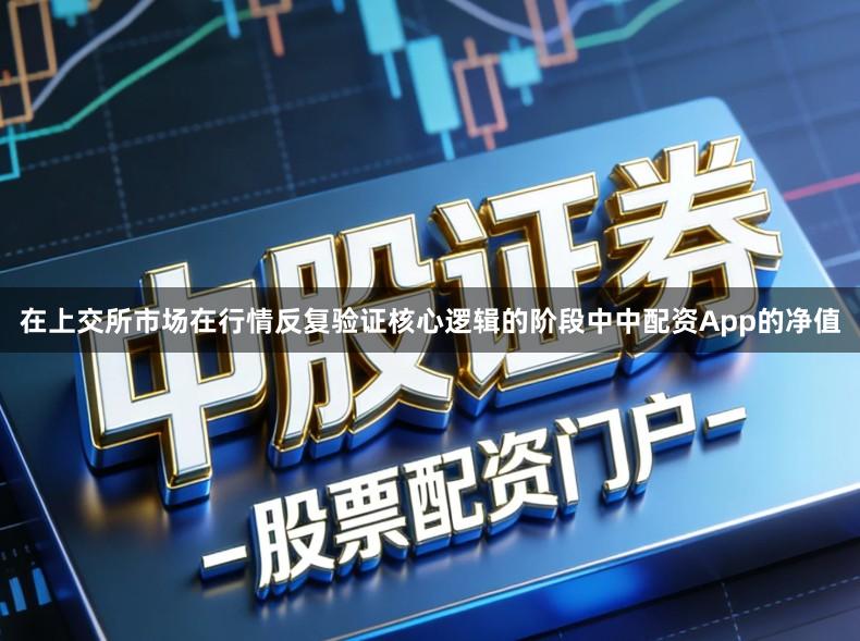 在上交所市场在行情反复验证核心逻辑的阶段中中配资App的净值