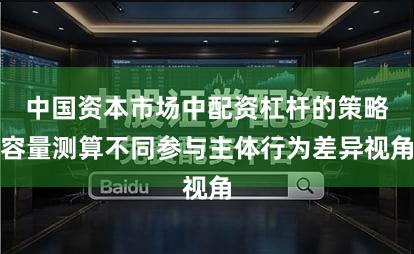 中国资本市场中配资杠杆的策略容量测算不同参与主体行为差异视角