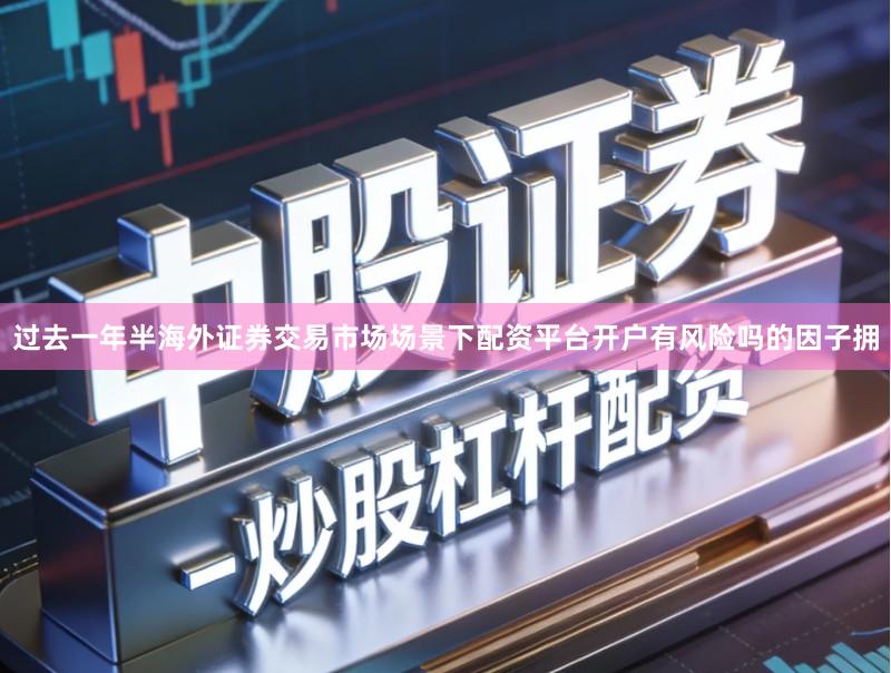 过去一年半海外证券交易市场场景下配资平台开户有风险吗的因子拥