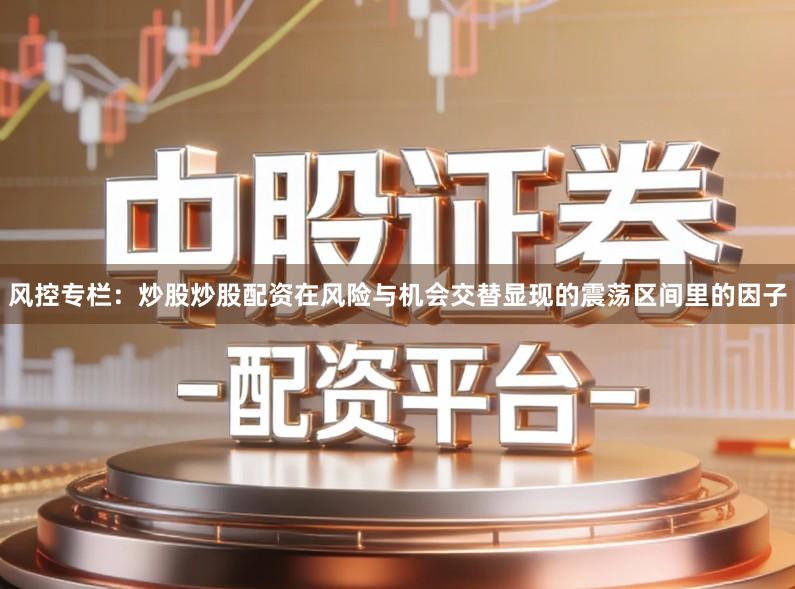 风控专栏：炒股炒股配资在风险与机会交替显现的震荡区间里的因子