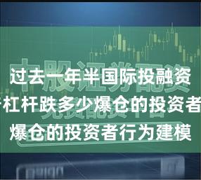 过去一年半国际投融资市场10倍杠杆跌多少爆仓的投资者行为建模