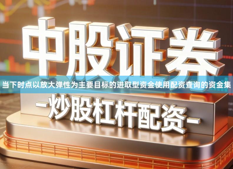 当下时点以放大弹性为主要目标的进取型资金使用配资查询的资金集