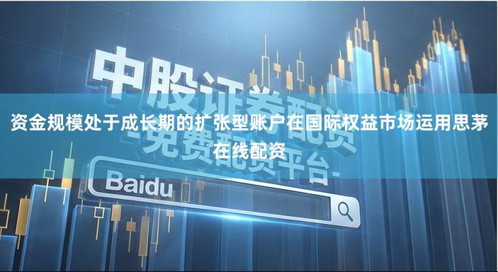 资金规模处于成长期的扩张型账户在国际权益市场运用思茅在线配资
